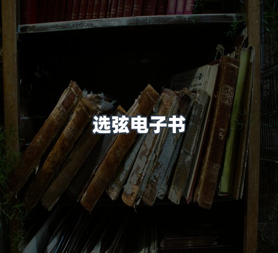 关于选弦电子书
